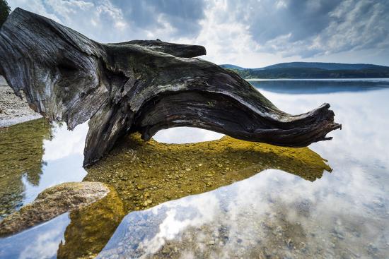 Premium Photographic Print, , large