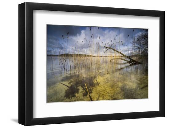 Premium Photographic Print, , large