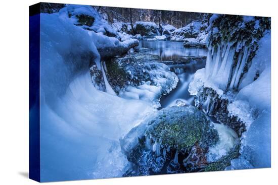 Stretched Canvas Print, , large