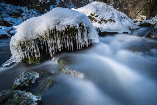 Premium Photographic Print, , large