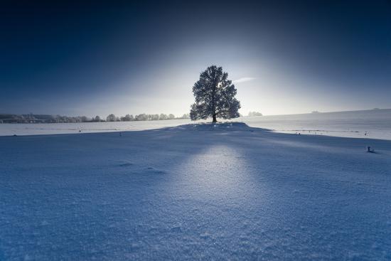 Premium Photographic Print, , large