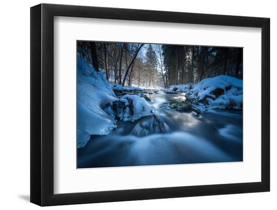 Premium Photographic Print, , large