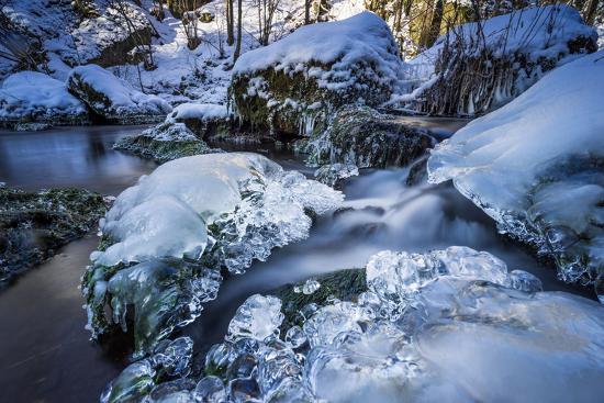 Premium Photographic Print, , large