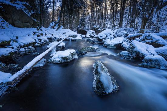 Premium Photographic Print, , large