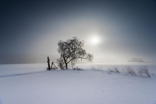 Premium Photographic Print, , large