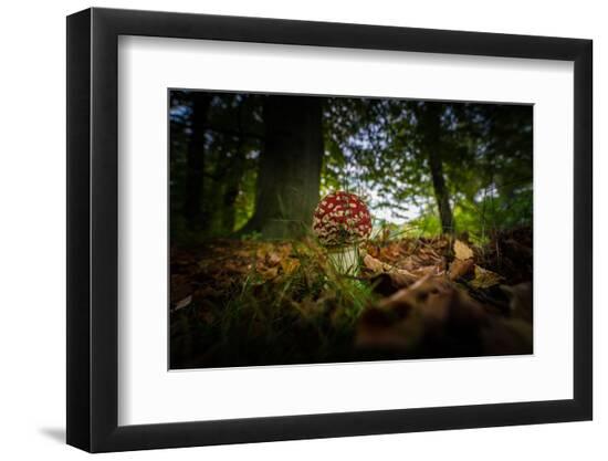 Premium Photographic Print, , large