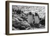 Falkland Islands, black and white image of pair of rockhopper penguins nesting on cliff, New Island-Howie Garber-Framed Photographic Print