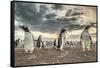 Falkland Islands, Bleaker Island. Gentoo penguin colony at sunset.-Jaynes Gallery-Framed Stretched Canvas