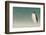 Falkland Islands, Bleaker Island. Gentoo Penguin on the Beach-Cathy & Gordon Illg-Framed Photographic Print