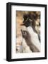 Falkland Islands, Bleaker Island. Rockhopper penguin adult and chick.-Jaynes Gallery-Framed Photographic Print