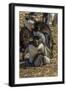 Falkland Islands, Bleaker Island. Rockhopper Penguin Family-Cathy & Gordon Illg-Framed Photographic Print