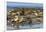 Falkland Islands, Bleaker Island. Southern Sea Lions Near Water-Cathy & Gordon Illg-Framed Photographic Print