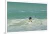 Falkland Islands, East Falkland. Gentoo Penguin Leaping in Surf-Cathy & Gordon Illg-Framed Photographic Print