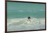 Falkland Islands, East Falkland. Gentoo Penguin Leaping in Surf-Cathy & Gordon Illg-Framed Photographic Print