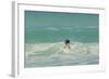 Falkland Islands, East Falkland. Gentoo Penguin Leaping in Surf-Cathy & Gordon Illg-Framed Photographic Print