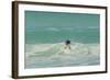 Falkland Islands, East Falkland. Gentoo Penguin Leaping in Surf-Cathy & Gordon Illg-Framed Photographic Print