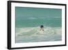 Falkland Islands, East Falkland. Gentoo Penguin Leaping in Surf-Cathy & Gordon Illg-Framed Photographic Print