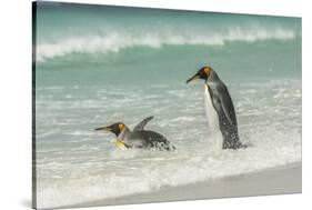 Falkland Islands, East Falkland. King Penguins in Beach Surf-Cathy & Gordon Illg-Stretched Canvas