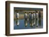 Falkland Islands, East Falkland. King Penguins Reflecting in Water-Cathy & Gordon Illg-Framed Photographic Print