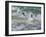 Falkland Islands, Gentoo Penguins emerge from the ocean.-Howie Garber-Framed Photographic Print