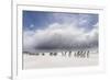 Falkland Islands. King Penguins Watch as a Storm Approaches-Martin Zwick-Framed Photographic Print