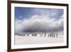 Falkland Islands. King Penguins Watch as a Storm Approaches-Martin Zwick-Framed Photographic Print