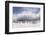 Falkland Islands. King Penguins Watch as a Storm Approaches-Martin Zwick-Framed Photographic Print