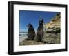 Falkland Islands. Rockhopper Penguin Calling-Ellen Anon-Framed Photographic Print