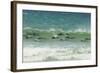 Falkland Islands, Saunders Island. Commerson's Dolphins Swimming-Cathy & Gordon Illg-Framed Photographic Print