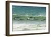 Falkland Islands, Saunders Island. Commerson's Dolphins Swimming-Cathy & Gordon Illg-Framed Photographic Print