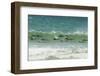 Falkland Islands, Saunders Island. Commerson's Dolphins Swimming-Cathy & Gordon Illg-Framed Photographic Print