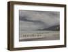 Falkland Islands, Saunders Island. Gentoo Penguins Coming Ashore-Cathy & Gordon Illg-Framed Photographic Print