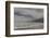 Falkland Islands, Saunders Island. Gentoo Penguins Coming Ashore-Cathy & Gordon Illg-Framed Photographic Print