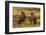 Falkland Islands, Sea Lion Island. Striated Caracaras on Ground-Cathy & Gordon Illg-Framed Photographic Print