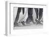 Falkland Islands, South Atlantic. Close Up of King Penguin Feet-Martin Zwick-Framed Photographic Print