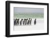 Falkland Islands, South Atlantic. Group of King Penguins on Beach-Martin Zwick-Framed Photographic Print