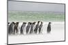 Falkland Islands, South Atlantic. Group of King Penguins on Beach-Martin Zwick-Mounted Photographic Print