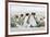 Falkland Islands, South Atlantic. Group of King Penguins on Beach-Martin Zwick-Framed Photographic Print