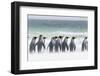 Falkland Islands, South Atlantic. Group of King Penguins on Beach-Martin Zwick-Framed Photographic Print