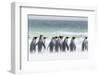 Falkland Islands, South Atlantic. Group of King Penguins on Beach-Martin Zwick-Framed Photographic Print