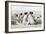 Falkland Islands, South Atlantic. Group of King Penguins on Beach-Martin Zwick-Framed Photographic Print