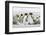 Falkland Islands, South Atlantic. Group of King Penguins on Beach-Martin Zwick-Framed Premium Photographic Print