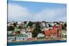 Falkland Islands. Stanley. View from the Water-Inger Hogstrom-Stretched Canvas