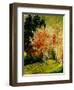 Fall 2-Pol Ledent-Framed Art Print