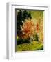 Fall 2-Pol Ledent-Framed Art Print