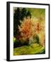 Fall 2-Pol Ledent-Framed Art Print