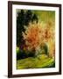 Fall 2-Pol Ledent-Framed Art Print