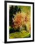 Fall 2-Pol Ledent-Framed Art Print