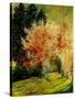 Fall 2-Pol Ledent-Stretched Canvas