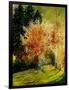 Fall 2-Pol Ledent-Framed Art Print